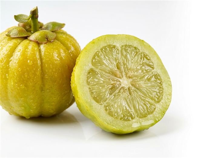 Frutto della Garcinia cambogia brindle berry usato negli stick di gelatina Hinuki